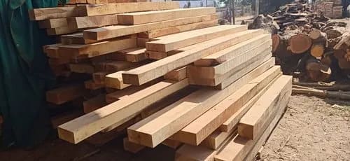 Neem Wood